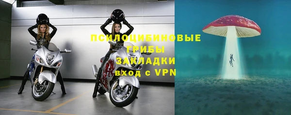 бошки Кулебаки