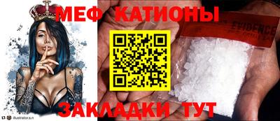 стаф Донской