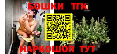 стаф Донской