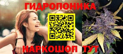 мяу мяу кристалл Донецк