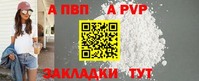 стаф Донской