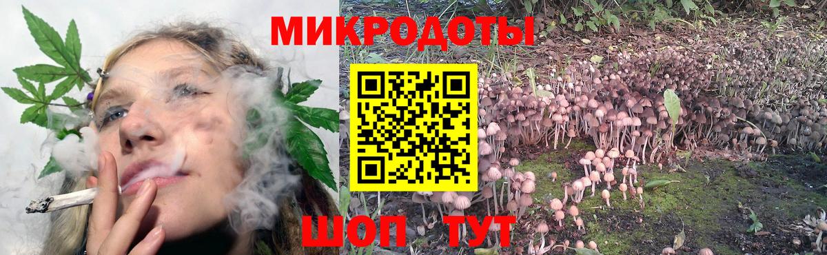 Галлюциногенные грибы MAGIC MUSHROOMS  Вход с VPN  Ревда  Псилоцибиновые грибы Psilocybine cubensis 